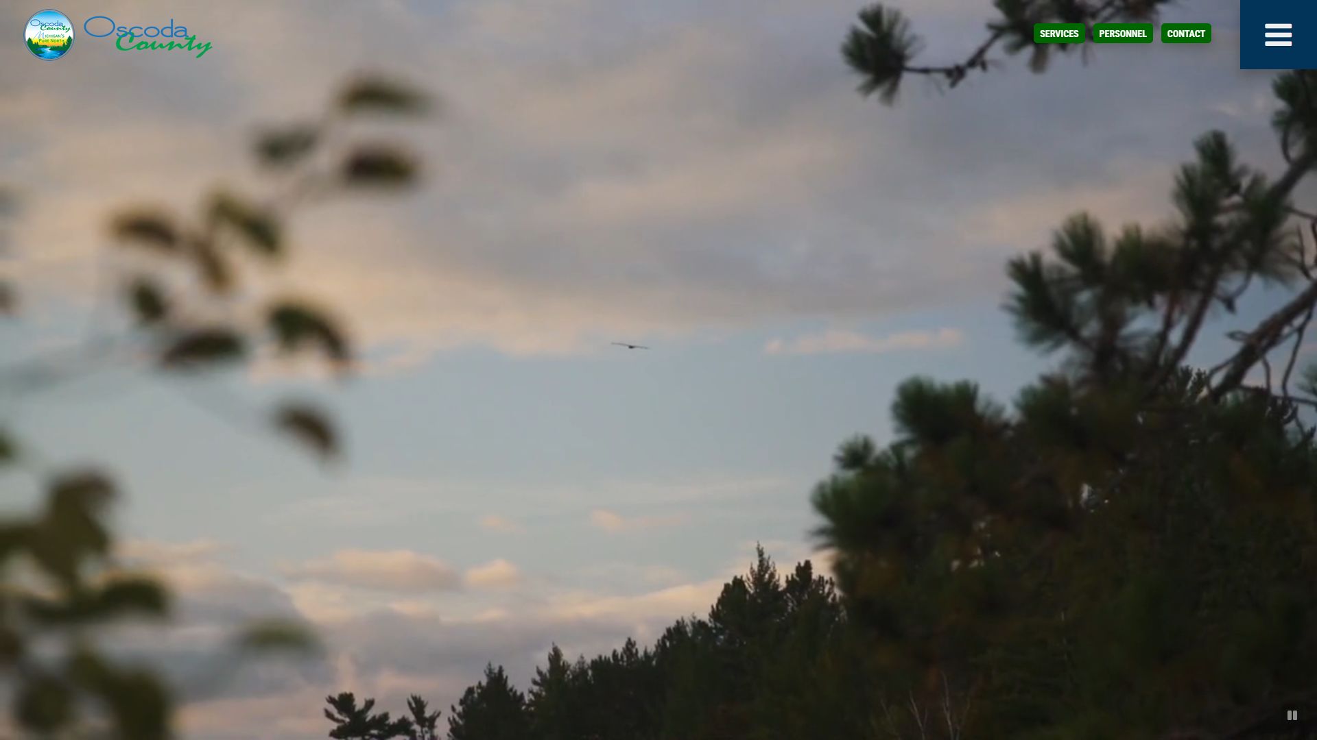 Oscoda County website for accessing probate court records and county resources